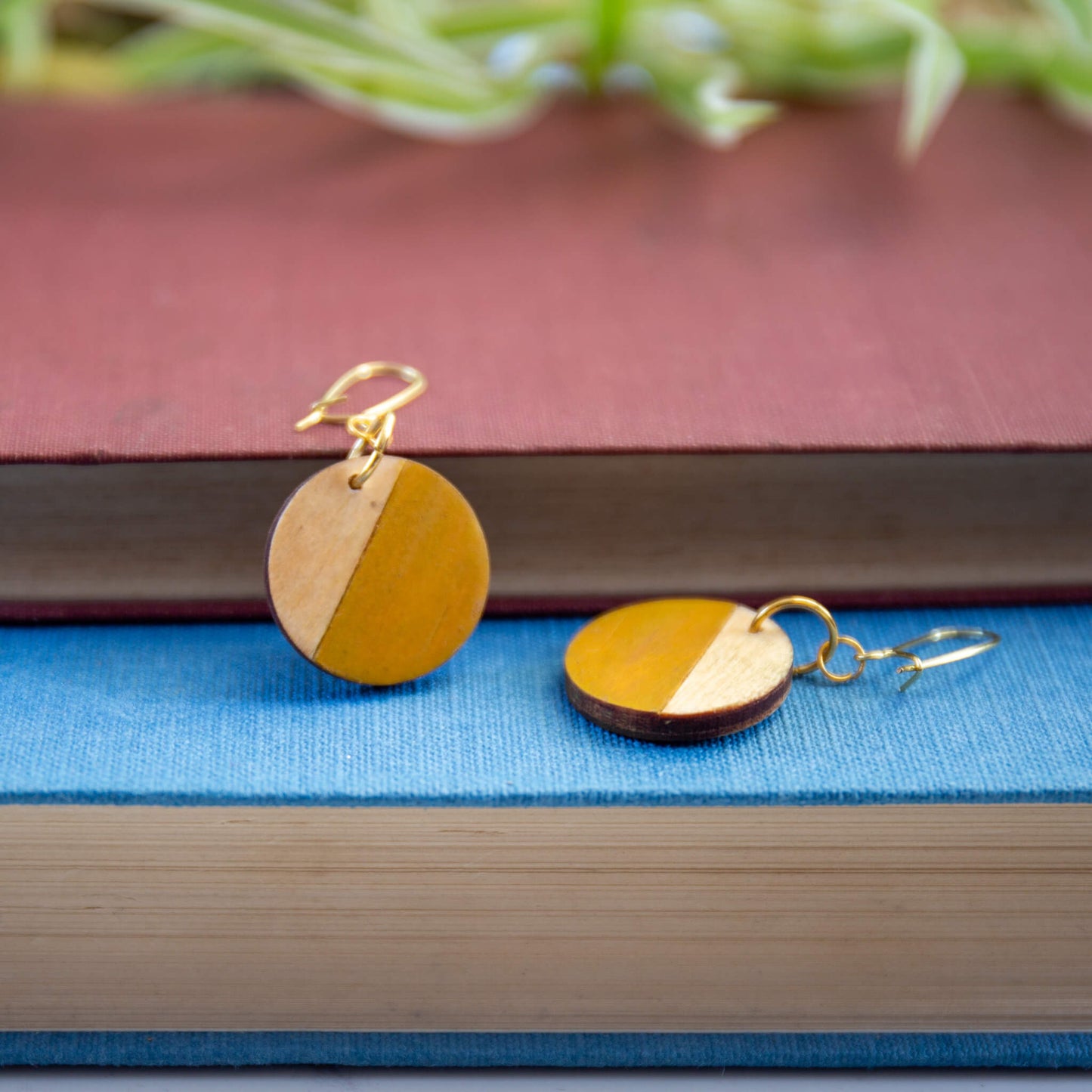 Geometric Circle Earrings