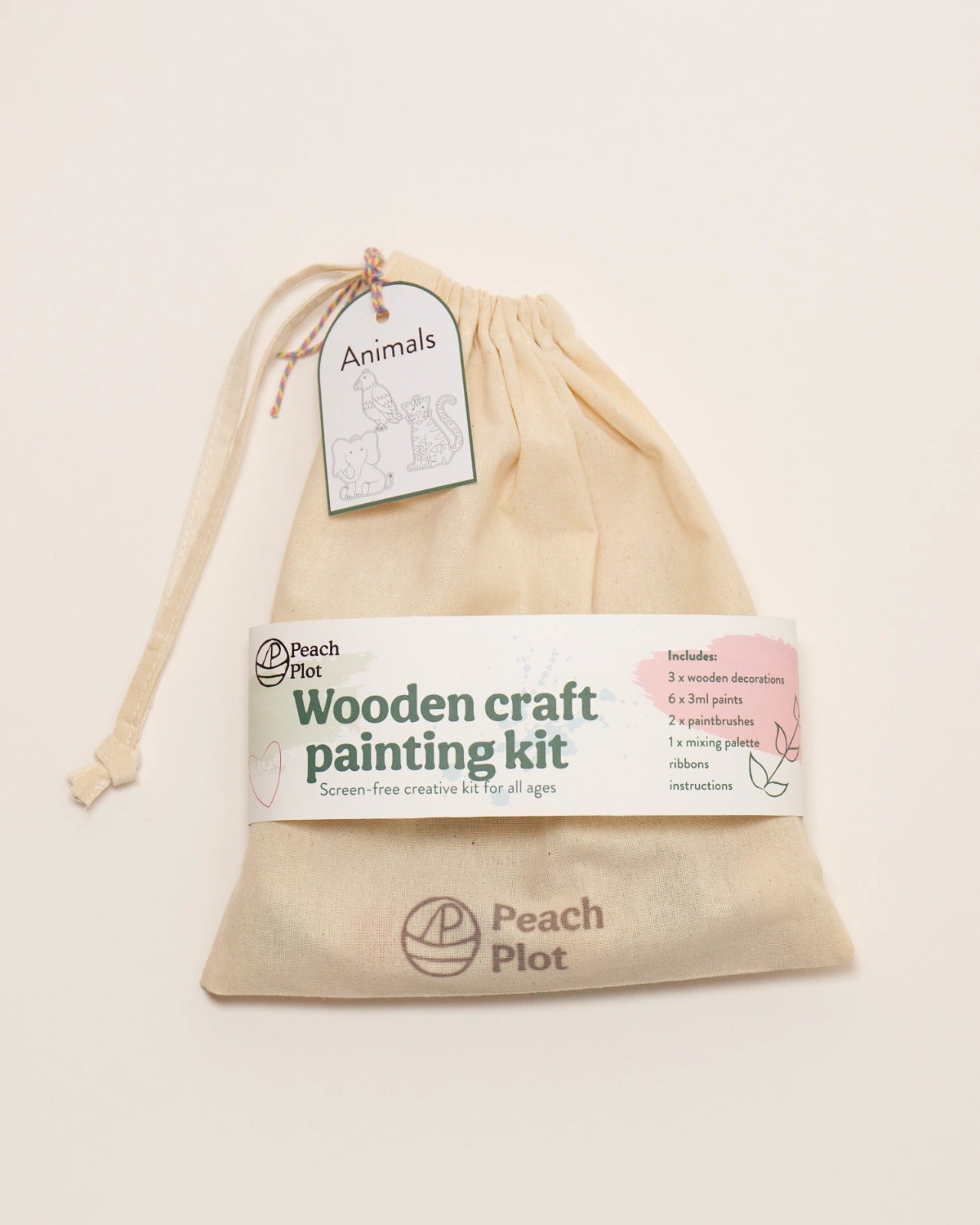 Wooden Craft Painting Kit